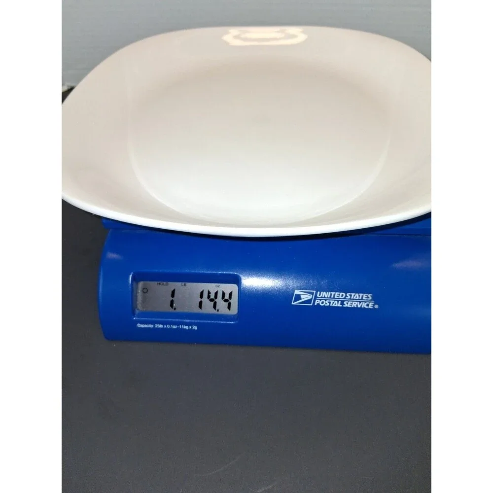 LNT Home dinner plate